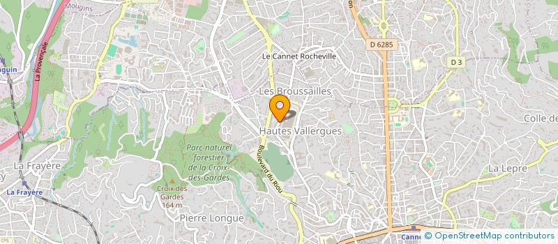 localisation de l'entreprise MONSIEUR THOMAS MERLENI  CANNES