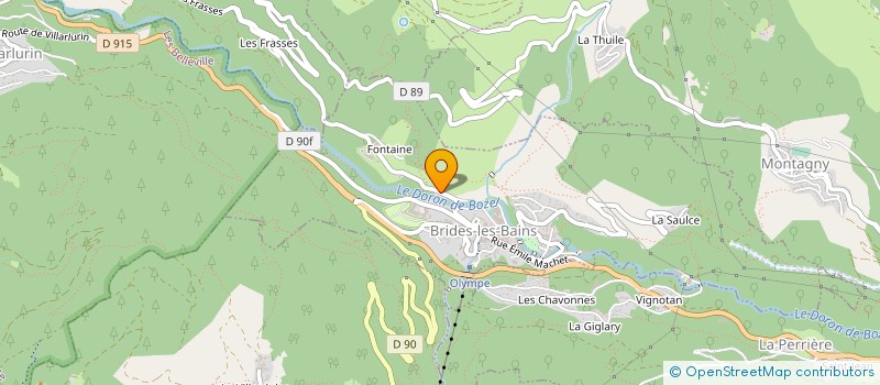 localisation de l'entreprise MONSIEUR THOMAS MICHEL CLAUDE TREBUCQ  BRIDES-LES-BAINS