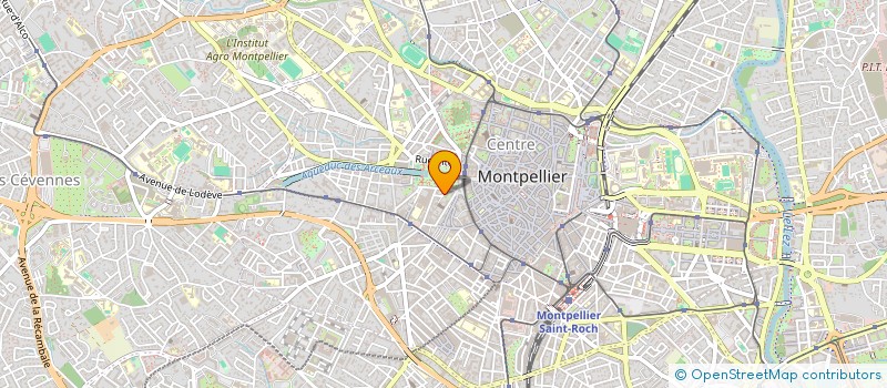 localisation de l'entreprise MONSIEUR THOMAS MONTEILLET à MONTPELLIER