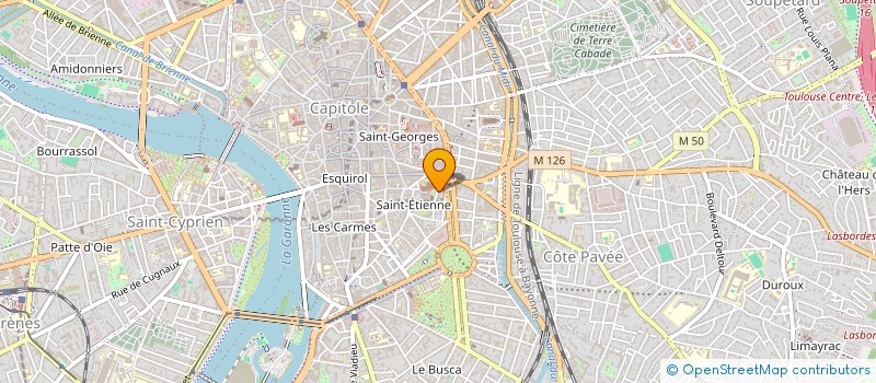 localisation de l'entreprise MONSIEUR THOMAS NECKEBROECK  TOULOUSE