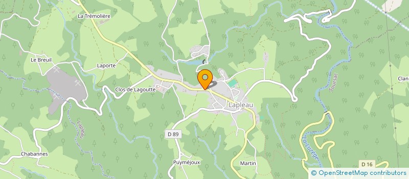 localisation de l'entreprise MONSIEUR THOMAS NEYRAT  LAPLEAU