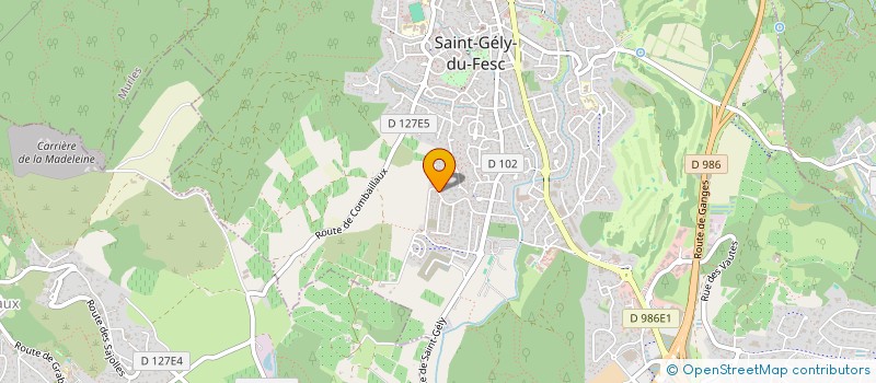 localisation de l'entreprise MONSIEUR THOMAS NGUEMALEU  SAINT-GELY-DU-FESC