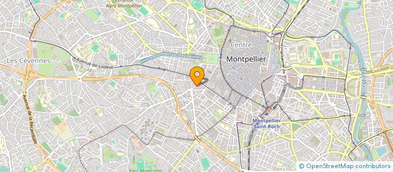 localisation de l'entreprise MONSIEUR THOMAS NICOULET à MONTPELLIER