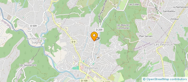 localisation de l'entreprise MONSIEUR THOMAS NOGUEIRA  PEGOMAS