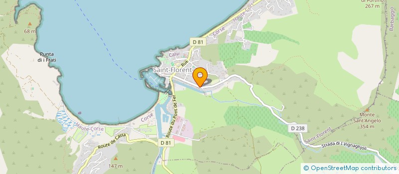 localisation de l'entreprise MONSIEUR THOMAS OLMETA  SAINT-FLORENT