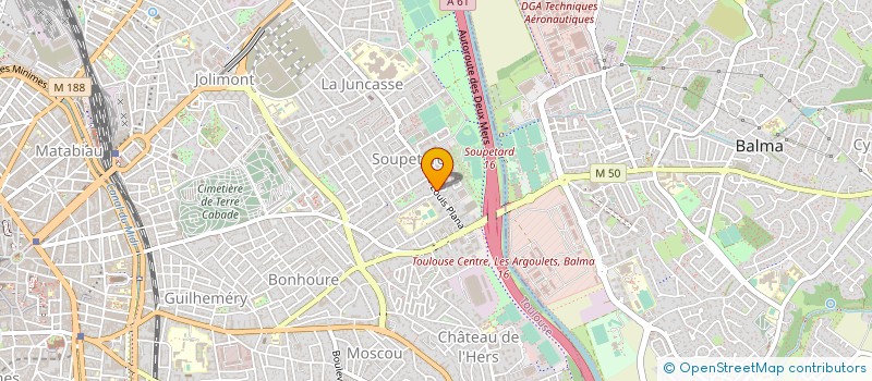 localisation de l'entreprise MONSIEUR THOMAS PASCAL à TOULOUSE
