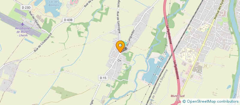 localisation de l'entreprise MONSIEUR THOMAS PATRY  MURET