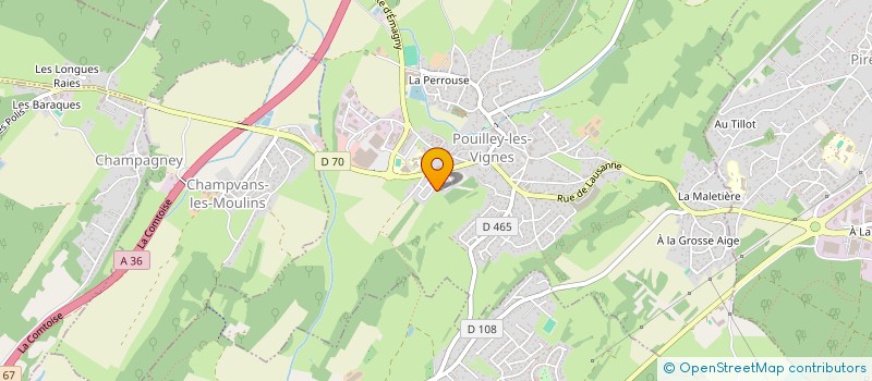 localisation de l'entreprise MONSIEUR THOMAS PEPE  POUILLEY-LES-VIGNES