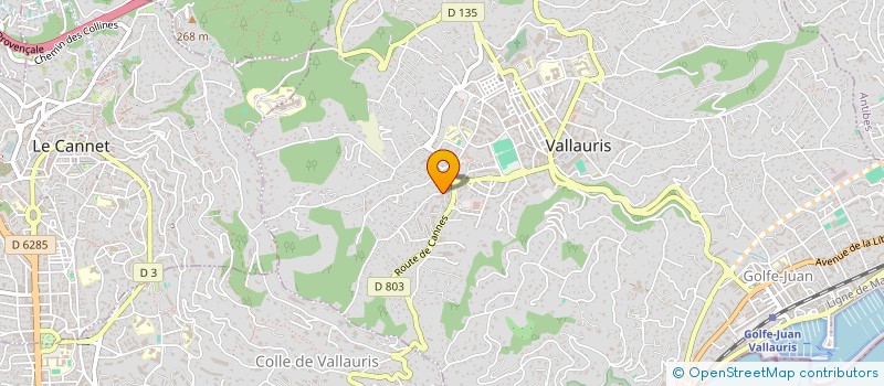 localisation de l'entreprise MONSIEUR THOMAS PERRIN  VALLAURIS