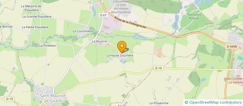 localisation de l'entreprise MONSIEUR THOMAS PERRIN  SAINT-MAURICE-LE-GIRARD