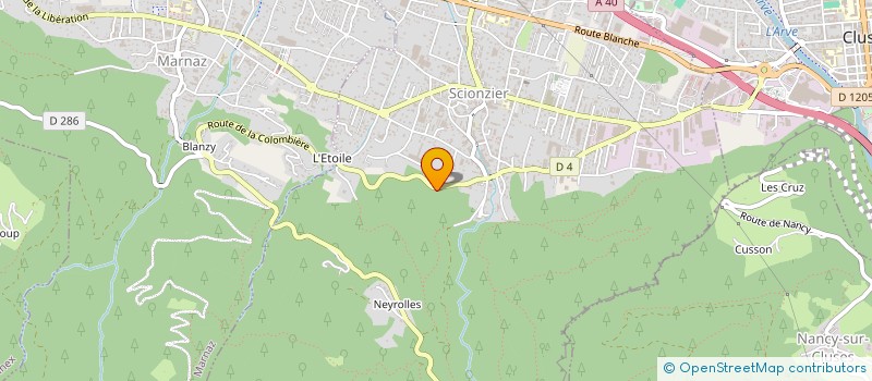 localisation de l'entreprise MONSIEUR THOMAS PICCA  SCIONZIER