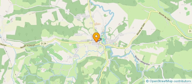 localisation de l'entreprise MONSIEUR THOMAS PIGNON  LASSEUBE