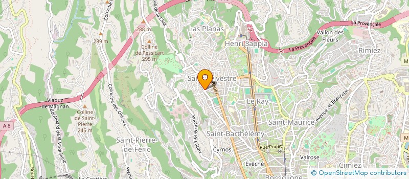 localisation de l'entreprise MONSIEUR THOMAS PINTE  NICE