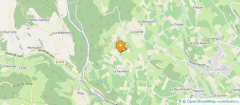 localisation de l'entreprise MONSIEUR THOMAS PONS  VAL D'OINGT