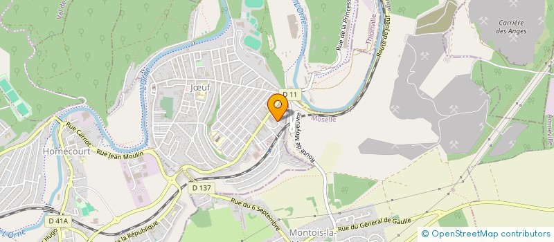 localisation de l'entreprise MONSIEUR THOMAS PUGLIESE  JUF