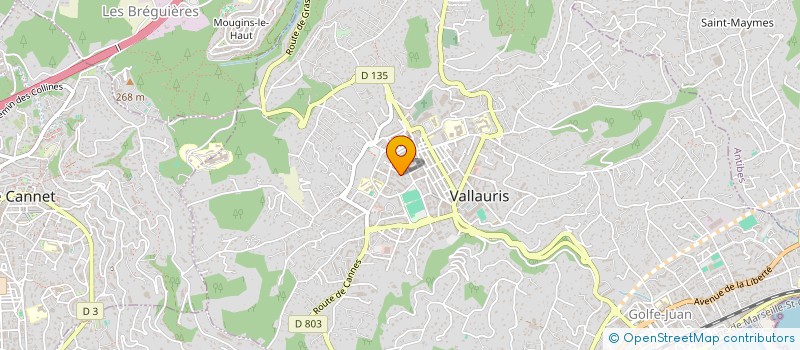 localisation de l'entreprise MONSIEUR THOMAS RATOUIT  VALLAURIS