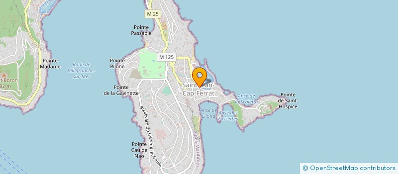 localisation de l'entreprise MONSIEUR THOMAS REHN  SAINT-JEAN-CAP-FERRAT