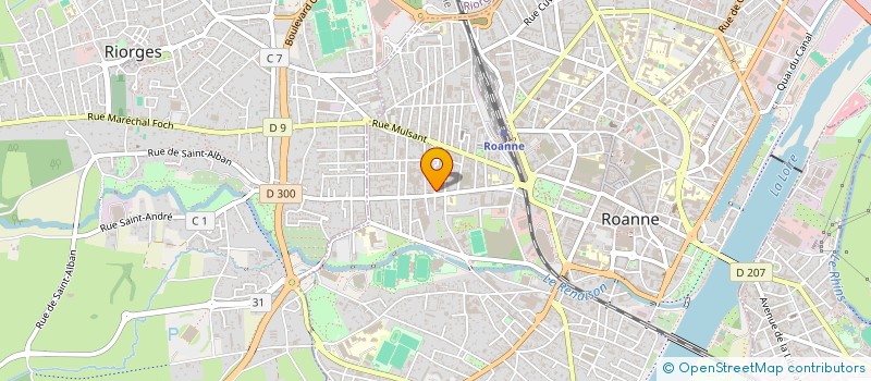 localisation de l'entreprise MONSIEUR THOMAS REPIQUET  ROANNE