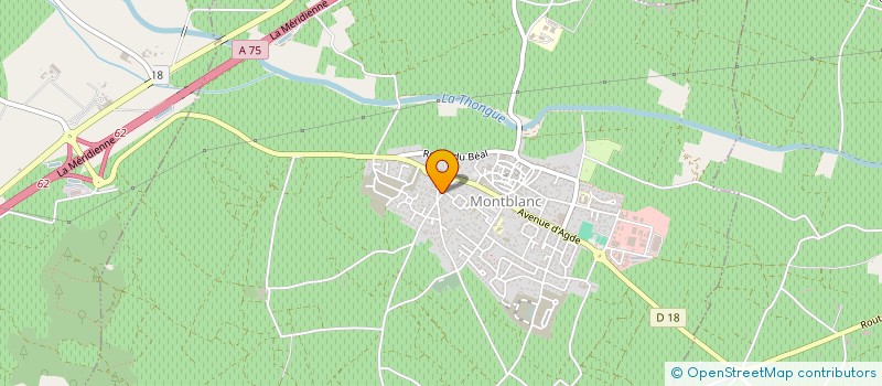 localisation de l'entreprise MONSIEUR THOMAS RIBES  MONTBLANC