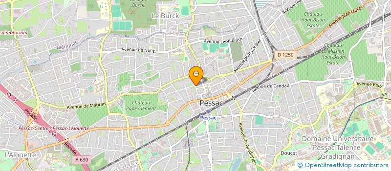 localisation de l'entreprise MONSIEUR THOMAS ROBIN  PESSAC