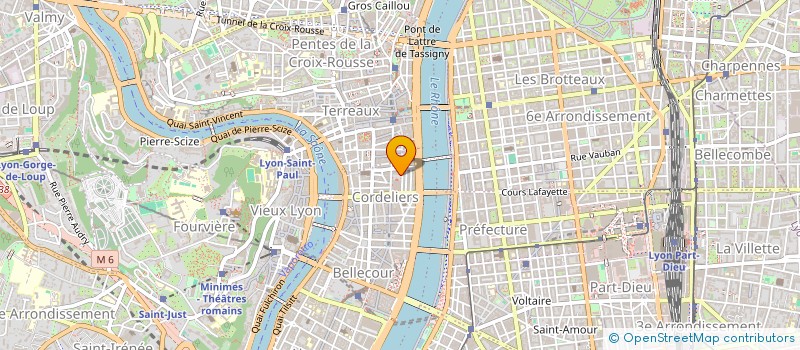 localisation de l'entreprise MONSIEUR THOMAS ROCHE  LYON