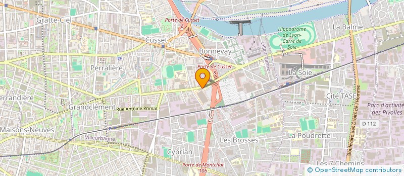 localisation de l'entreprise MONSIEUR THOMAS ROSENBUSCH-MATHIEU  VILLEURBANNE