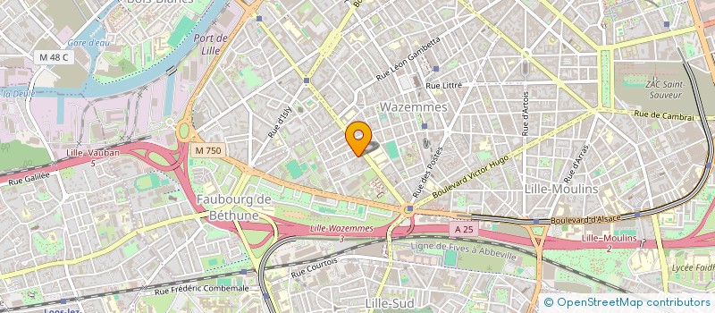 localisation de l'entreprise MONSIEUR THOMAS SANGUE à LILLE