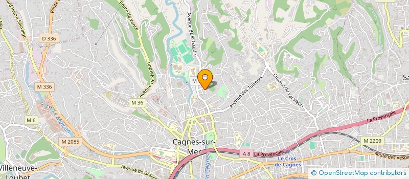 localisation de l'entreprise MONSIEUR THOMAS SANTUCCI à CAGNES-SUR-MER
