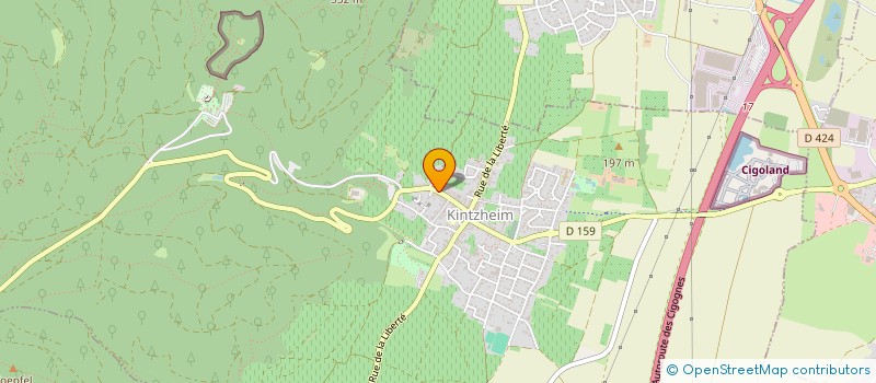 localisation de l'entreprise MONSIEUR THOMAS SCHNELL  KINTZHEIM