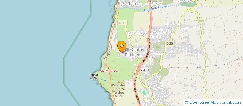 localisation de l'entreprise MONSIEUR THOMAS SELIGHINI  SAINT-LEU