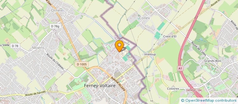 localisation de l'entreprise MONSIEUR THOMAS TEWOLDE à FERNEY-VOLTAIRE