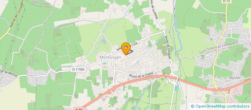 localisation de l'entreprise MONSIEUR THOMAS TOURNELLE  MONTUSSAN