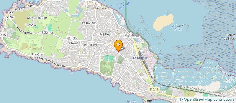 localisation de l'entreprise MONSIEUR THOMAS TRANAIN  LE CROISIC
