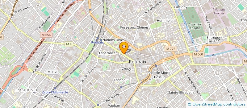 localisation de l'entreprise MONSIEUR THOMAS VALENTIN à LILLE