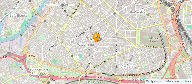 localisation de l'entreprise MONSIEUR THOMAS VASERMAN à LILLE