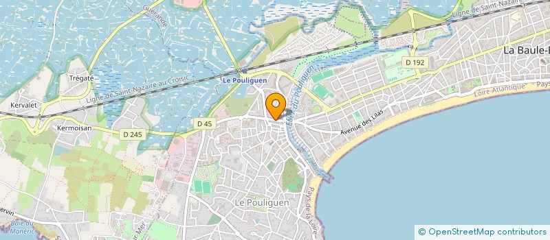 localisation de l'entreprise MONSIEUR THOMAS VINCENT  LE POULIGUEN