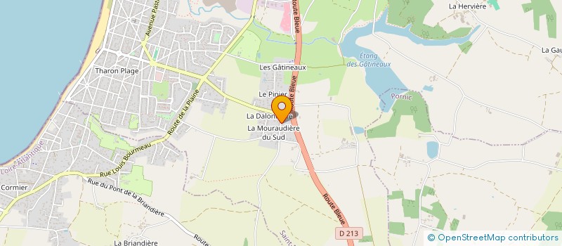 localisation de l'entreprise MONSIEUR TIAGO FERREIRA FREITAS  SAINT-MICHEL-CHEF-CHEF