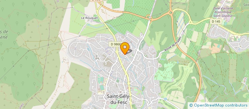 localisation de l'entreprise MONSIEUR TIAGO MARTINS  SAINT-GELY-DU-FESC