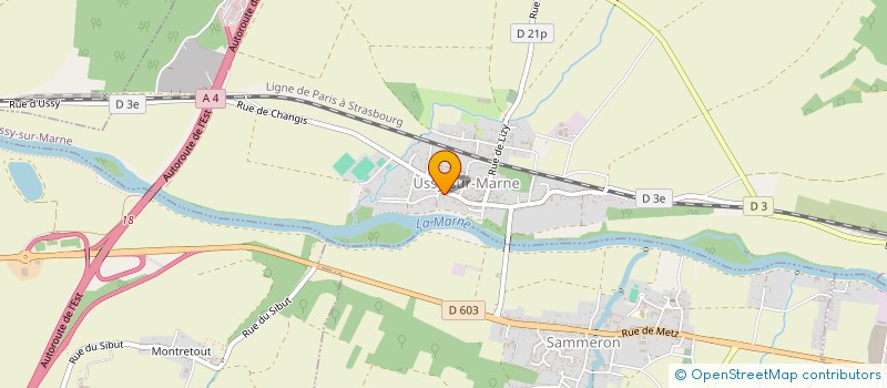 localisation de l'entreprise MONSIEUR TIAGO MIGUEL MAGALHAES LOPES  USSY-SUR-MARNE