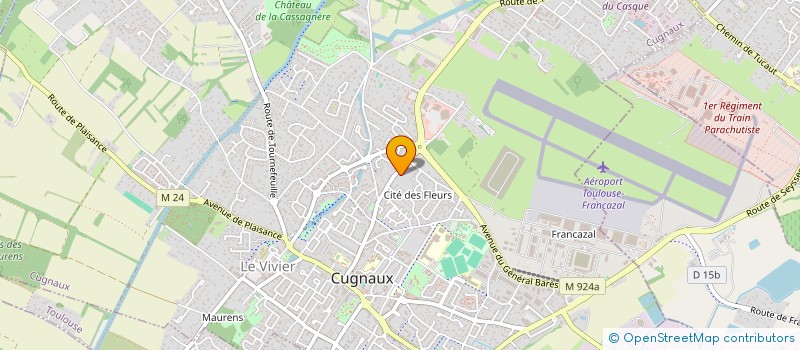 localisation de l'entreprise MONSIEUR TIAGO RIBEIRO DOS SANTOS à CUGNAUX