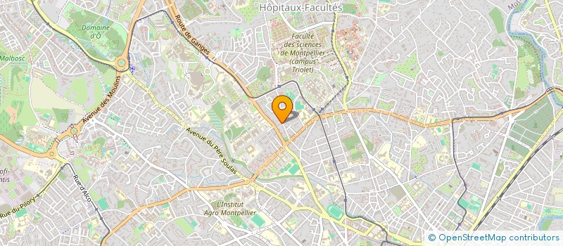 localisation de l'entreprise MONSIEUR TIAVINA RAKOTONIRINA  MONTPELLIER