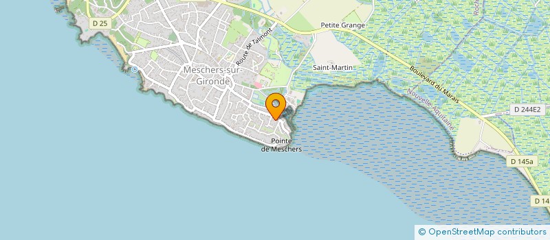 localisation de l'entreprise MONSIEUR TIERRI MENDES  MESCHERS-SUR-GIRONDE