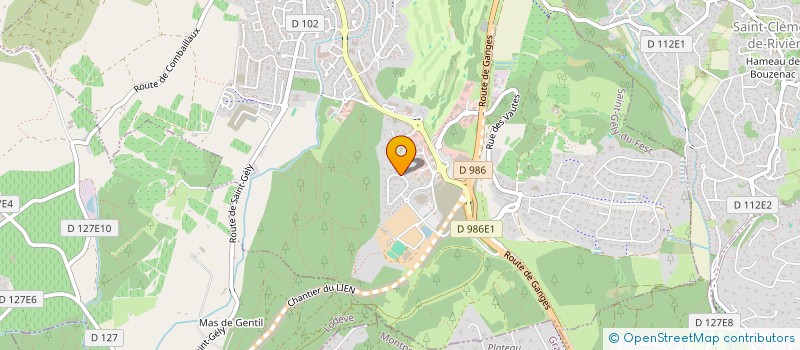 localisation de l'entreprise MONSIEUR TIHOMIR SELENDIC  SAINT-GELY-DU-FESC