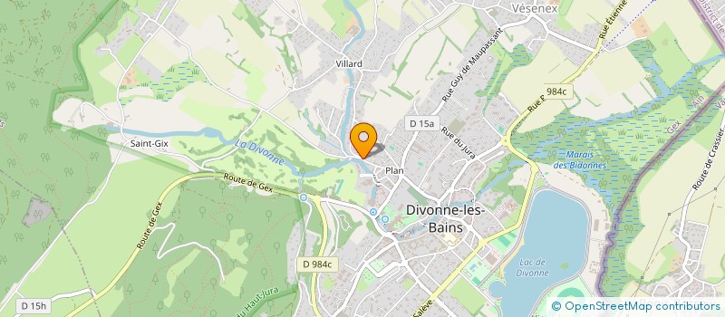 localisation de l'entreprise MONSIEUR TIJANI ABIDALLAH  DIVONNE-LES-BAINS