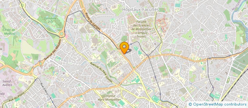 localisation de l'entreprise MONSIEUR TIMOTHE BLED à MONTPELLIER