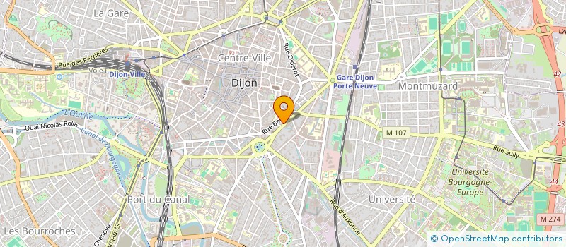 localisation de l'entreprise MONSIEUR TIMOTHEE ALIXANT  DIJON