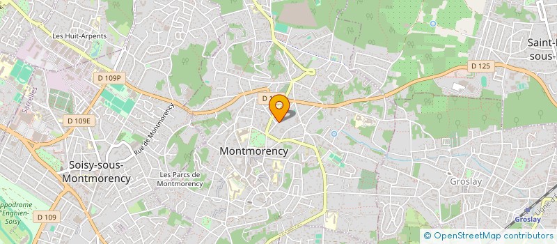 localisation de l'entreprise MONSIEUR TIMOTHEE HALUZAK  MONTMORENCY