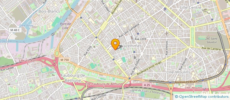 localisation de l'entreprise MONSIEUR TIMOTHEE HARLEAUX à LILLE