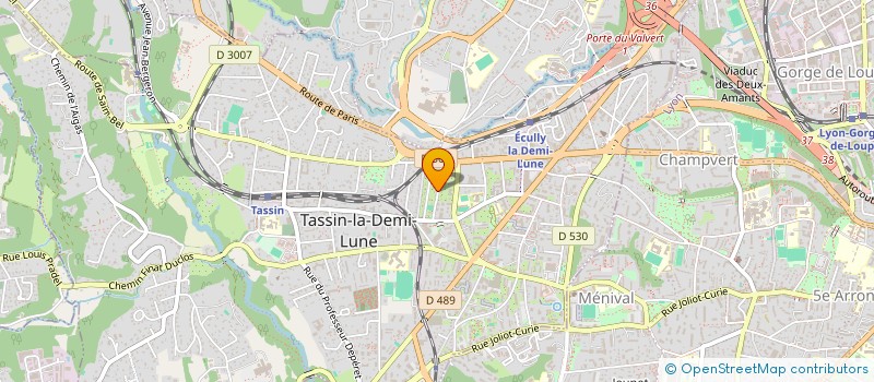 localisation de l'entreprise MONSIEUR TIMOTHEE WAYMEL  TASSIN-LA-DEMI-LUNE