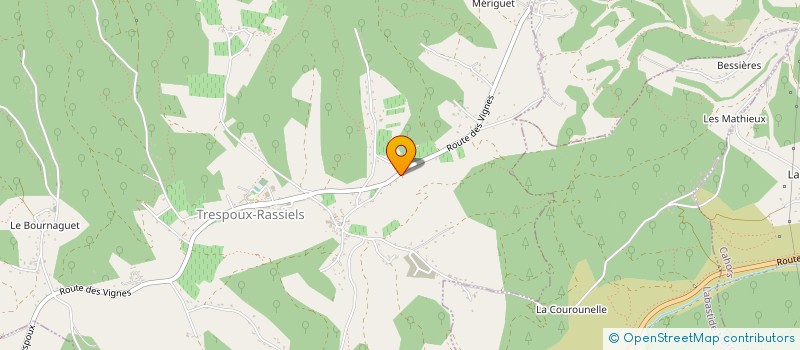 localisation de l'entreprise MONSIEUR TINAEL MARUESCO  TRESPOUX-RASSIELS